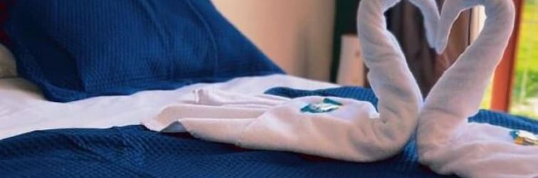 其他 Pedro Alexandre Da Costa