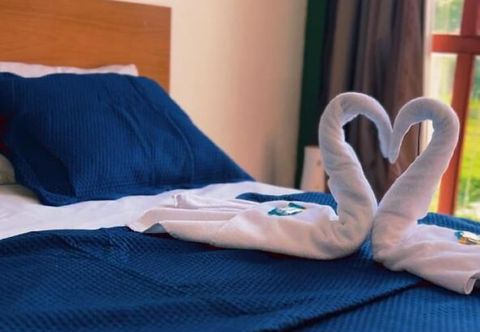 其他 Pedro Alexandre Da Costa