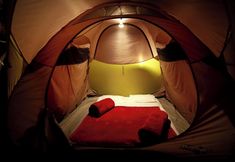 その他 4 The Pear County