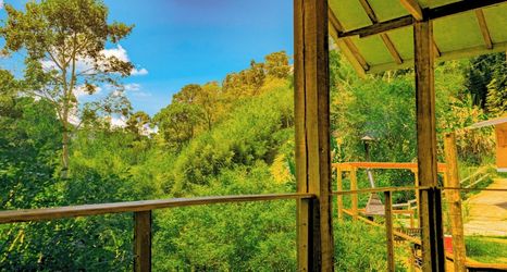 その他 2 Cores e Flores da Serra