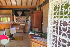 その他 Cores e Flores da Serra