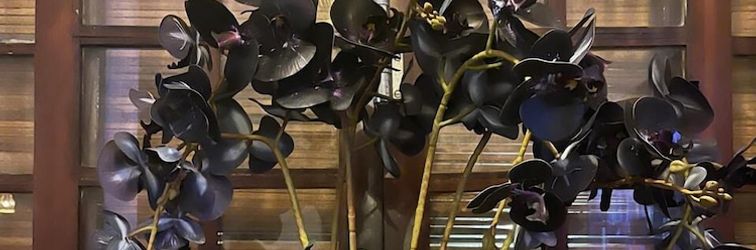 기타 Pousada MacDonald