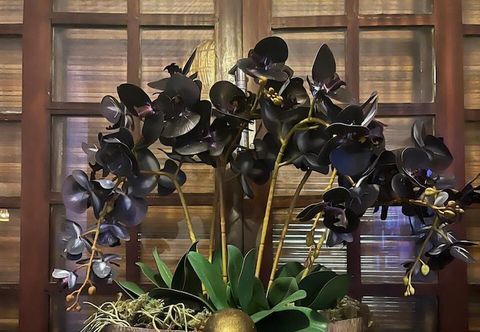 기타 Pousada MacDonald