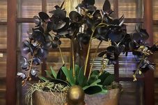 기타 Pousada MacDonald