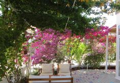 Lainnya 6 Begonvil Garden Apart