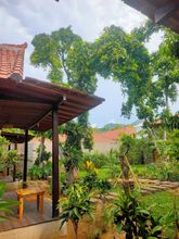 기타 4 Vanaya Lodge