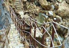 Others 7 Apartment in Rio Nell Elba With Garden