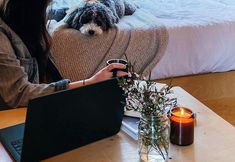 Others 6 Postcard Cabins Western Catskills