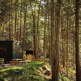 Primary image 1 Postcard Cabins Western Catskills, Outdoor Collection by Marriott Bonvoy, Hotel Delaware County