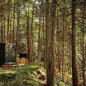 Primary image1Postcard Cabins Western Catskills,特拉华县飯店