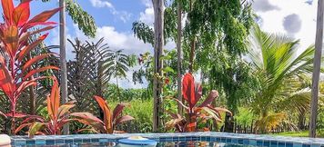 Others 3 Chalé Pitanga