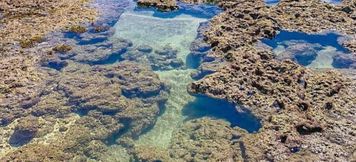 Others 5 Chalé Pitanga