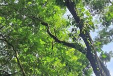 其他 Hotel Sarapiquí