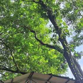 Primary image1Hotel Sarapiquí,埃雷迪亚省飯店