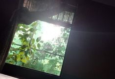 其他 5 Hotel Sarapiquí