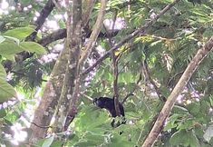 其他 6 Hotel Sarapiquí