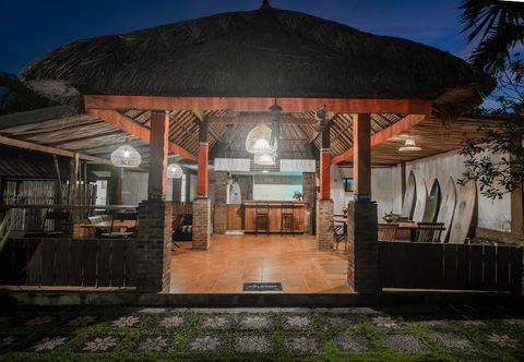 Others Olo Surf Nature