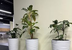 Lain-lain 3 Hostel O2