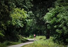 Others 5 CONTRA' CONTARINI