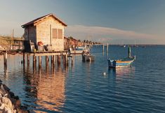 Others 5 Relax in our Flat With Garden in Rosolina