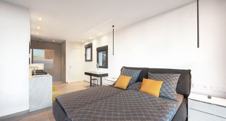 其他 2 Amazing Villa With Terrace