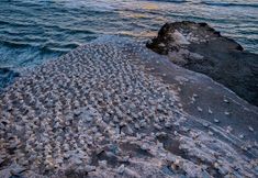 其他 2 Sunset Capital Of The World