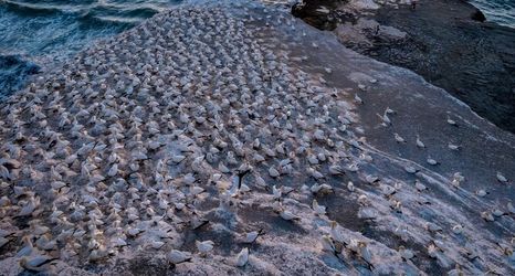 其他 2 Sunset Capital Of The World