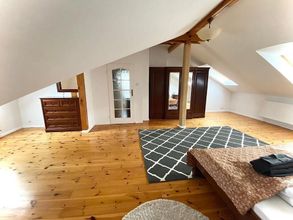 其他 4 Penthouse in the old Citycenter