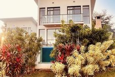 其他 Nativos de Minas