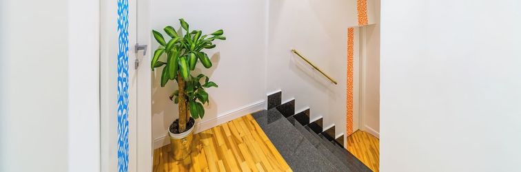 Others Starguest Dante