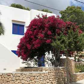 Primary image 1 Hillside Villa Near Beaches, Khách sạn Estellencs