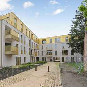 Primary image 1 ヴィラ カルメル アパートメント イン ブランケンベルゲ, ブルッヘ行政区 ホテル