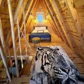 Room 1 老虎之家2号房, 萨卡里亚 酒店