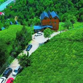 Primary image 1 Seyri Alem Suite Bungalow, Ardeşen Hotels