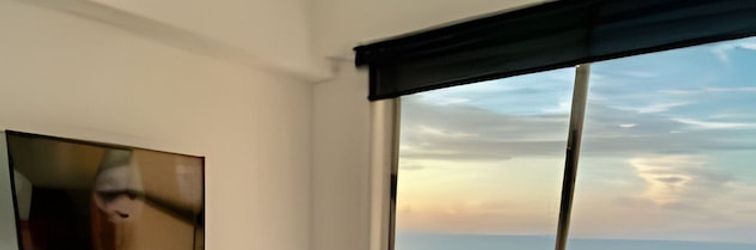 Others Palmetto Eliptic