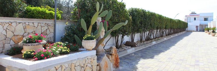 Others Quadri Pino Near The Sea 4