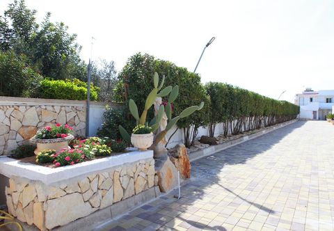 Others Quadri Pino Near The Sea 4