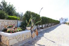 Others Quadri Pino Near The Sea 4