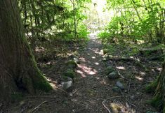 Others 7 Ensuite 08 - A Newly Remodeled Studio - A Perfect Romantic Getaway