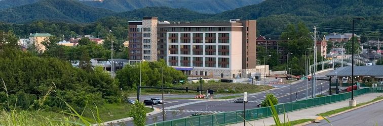 その他 Drury Plaza Hotel Pigeon Forge