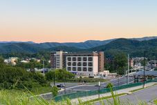 その他 Drury Plaza Hotel Pigeon Forge