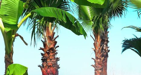 기타 2 Sapanca Sunset Villas