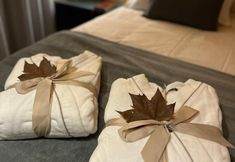 其他 3 Pousada Maple Monte Verde