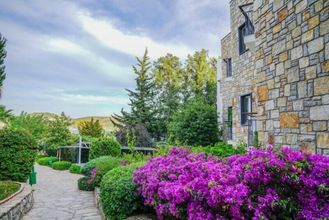 その他 4 Amilla Beach Resort