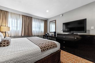 其他 4 The Snoozzz Inn