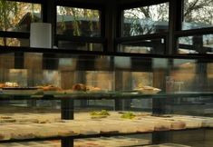 其他 6 Dunna and Barba