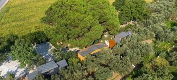 Others 5 Tiny Garden Dikili