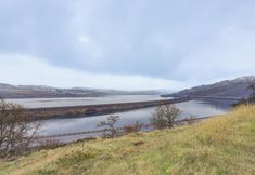 其他 2 Columbia River Retreat on 20 Acres: Hikes & Wine!