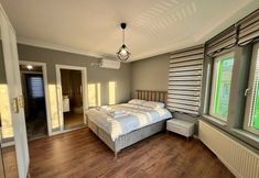 その他 4 Yeşil Panjurlu Villa Otel