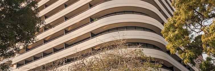 其他 Estupendo Dep Deco RecoletabyArmani D417